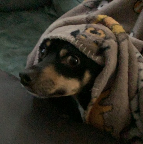 Meet Your Posher, Crystal - Picture 4 of 4